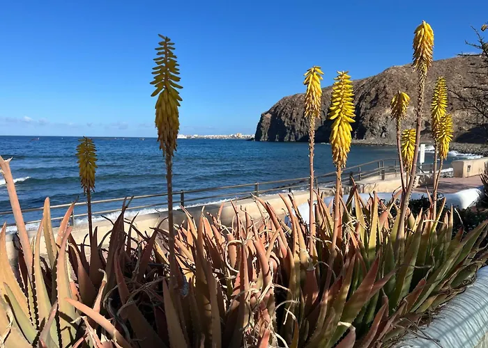 Orion بالم مار