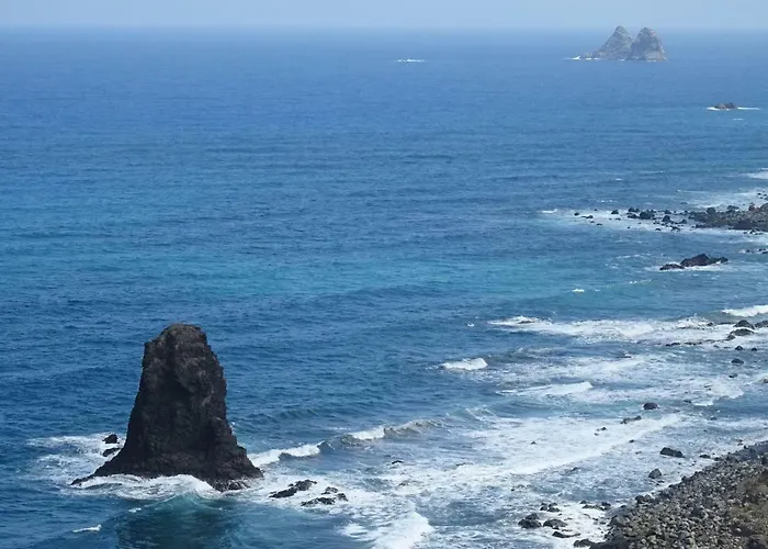 Orion * بالم مار