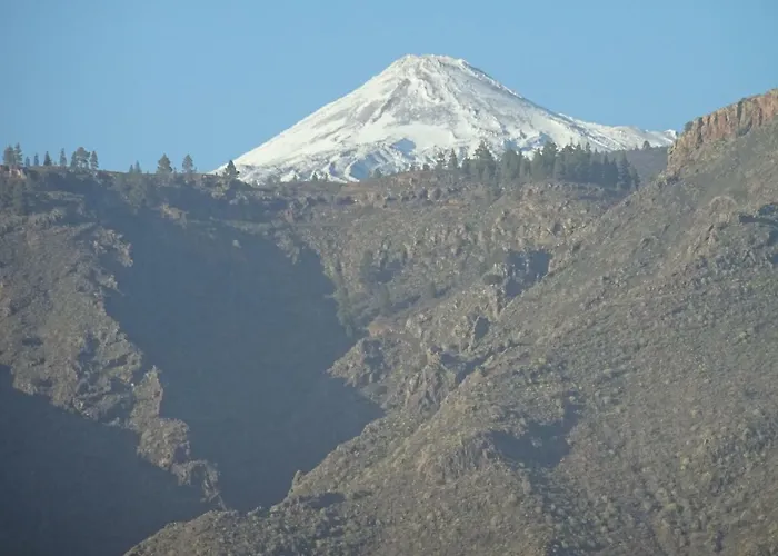 Orion شقة بالم مار